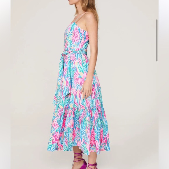 NWT Lilly Pulitzer Edith Dress - Picture 3 of 11